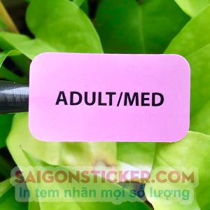 ADULT/MED